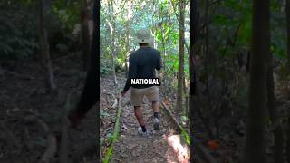 Exploring Koroyanitu National Park in Fiji [upl. by Docilu433]