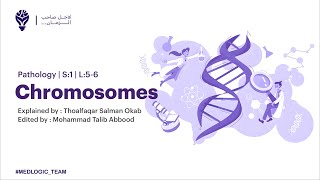 CHROMOSOMES ll pathology [upl. by Nwahsan]