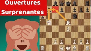 Top 5 des ouvertures déchecs les plus surprenantes [upl. by Lorenz]