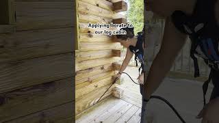 Applying borate to our log cabin to preserve the wood and prevent wood infesting insects [upl. by Ridgley]