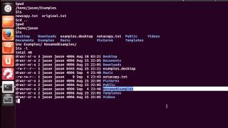 Moving and Copying Files and Directories in Linux [upl. by Sandye]