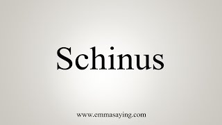 How To Say Schinus [upl. by Alleunamme]