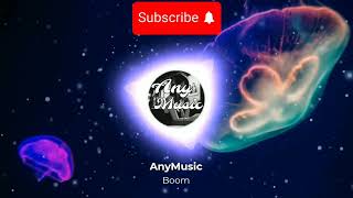 AnyMusic  BOOM [upl. by Orgell]