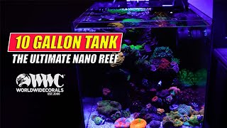 The Ultimate Nano Reef 10G [upl. by Adna]