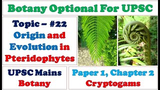 Origin and Evolution in Pteridophytes AlgalBryophytic Origin LignierChurchFritsch hypothesis [upl. by Saffren258]