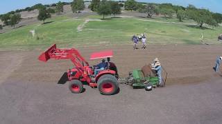 Sprigging With Big Rolls [upl. by Mahmoud]