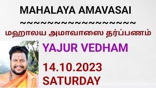 Mahalaya Amavasai Tharpanam  Yajur Vedhamயஜூர் வேத மஹாலய அமாவாசை தர்ப்பணம் 14102023 SATURDAY [upl. by Annayehc]