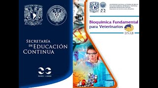 Bioquímica Fundamental para Veterinarios [upl. by Mahseh]