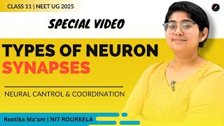 Types of Neuron and Synapse I Neural Control and Coordination I Class 11 I Neet 2025 [upl. by Aniluj]