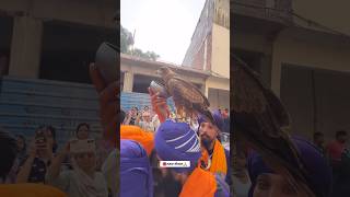 NAGAR KIRTAN HARMANDIR SAHIB❤️🙏🌺 shorts [upl. by Tacy]