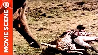 Elephant Saves rajus Life from leopard  Haathi Mere Saathi [upl. by Malan556]