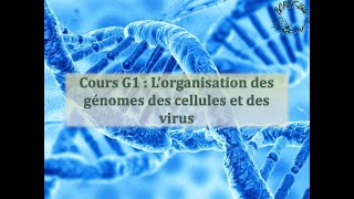 Cours G1  Lorganisation des génomes des cellules et des virus [upl. by Conroy457]