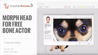 Cartoon Animator 4 Tutorial  Morphbased Heads for Free Bone Actors [upl. by Anitaf]