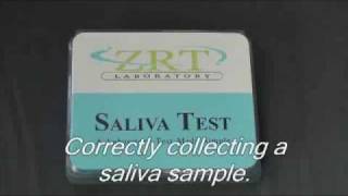 How to Collect a Saliva Test Kit Sample [upl. by Tiffy]