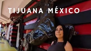 Showing You Around Tijuana Mexico  Hong Kong  Walking Tour mexico tijuana viral [upl. by Ciro71]