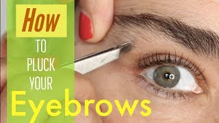 How to pluck your EYEBROWS [upl. by Anafetse838]