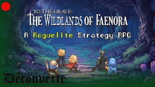 FR To The Grave The Wildlands Of Faenora  Découverte de ce Roguelike RPG [upl. by Rakia449]