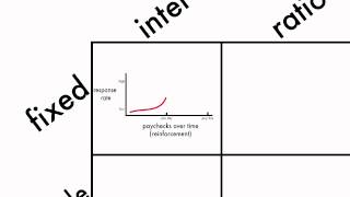 Learning Schedules of Reinforcement [upl. by Nims]