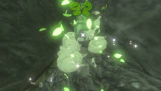 Korok seeds  Quarry Ruins  Central Tower 6068  Zelda BOTW [upl. by Ayres]