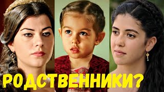 Актеры Родственники Великолепный Век [upl. by Kilar]