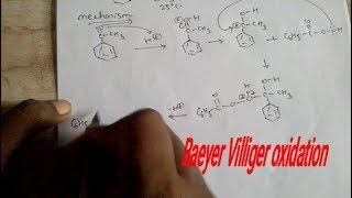 Baeyer villiger oxidation mechanism [upl. by Neibaf]