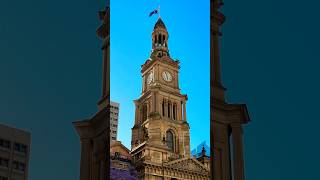 Jacaranda Season at Sydney 😍 [upl. by Macnair283]