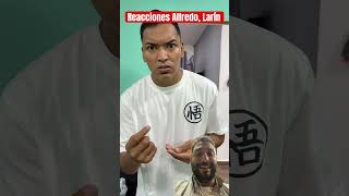 Reacciones Alfredo Larren [upl. by Hakvir259]