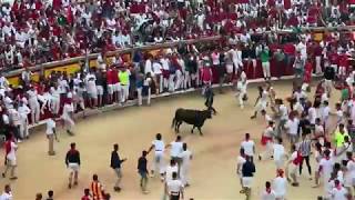 San Fermin  Pamplona 2019 [upl. by Elisabet]