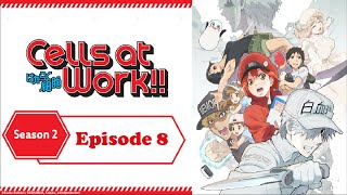 Cells at Work S2 Ep 8 Cancer Cell Reappear Shorts [upl. by Annairdna]