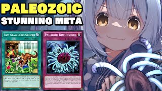 PALEOZOIC BEATING EVERY META DECK  HighRank Paleozoic Stun Replays Master Duel OCT 2024 [upl. by Saraann]