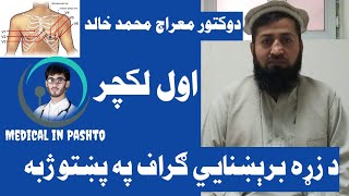 1 ECG in Pashto  Electrocardiography Dr Miraj Mohammad Khalid د زړه برېښنايي ګراف لمړي لکچر [upl. by Eelek]