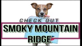 Places to Stay in Pigeon Forge TN  quotSmoky Mountain Ridgequot Driving tour of these beautiful cabins [upl. by Sirronal]