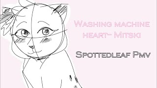 Spottedleaf PMV Washing Machine Heart [upl. by Drofub]