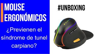 Mouse Ergonómicos funciones y características [upl. by Enitsugua]