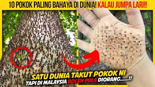 10 POKOK PALING BAHAYA DI DUNIA KORANG KENA LARI KALAU JUMPA [upl. by Diet]