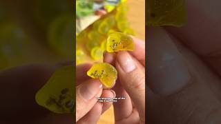 Trying Kiwi Gummies for the First Time 🥝 gummy gummies candy [upl. by Nnairret]