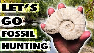 LETS GO FOSSIL HUNTING  Weve been busy in the Creeks  NEW Texas Fossils Adventure [upl. by Anneg]