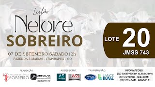 LOTE 20  LEILÃO NELORE SOBREIRO 7 DE SETEMBRO 12h FAZ 3 MARIAS ITAPIRAPUÃ GO [upl. by Lenoj138]