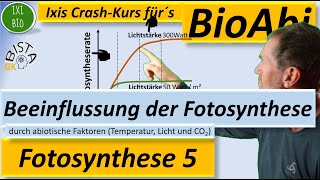 Beeinflussung der Fotosynthese Photosynthese durch abiotische Faktoren Temperatur Licht CO2 [upl. by Leavitt]