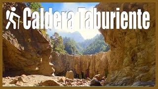 Wanderung auf La Palma im Nationalpark quotCaldera de Taburientequot [upl. by Sessler]