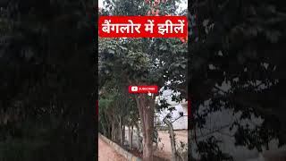 बैंगलोर में झीलें lake bangalore god hindu ram ayodhya hinduism indian shorts viralvideo [upl. by Mycah]