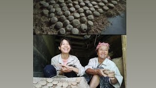 Making Yeast for local wine  With Tilling Mummy  Apatani Tribe  Ziro  Arunachal Pradesh [upl. by Oirrad411]