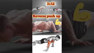 Reverse push up ll body building workout ll exercisell youtubeshortsyoutube youtuberbodybuilding [upl. by Kliman859]