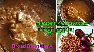 Mochai PayaruAvarai Kottai Kulambu in Tamil  Avarai kulambu Seivathu Eppadi  Broad Bean Gravy [upl. by Macegan]