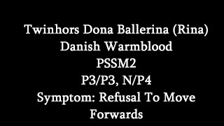 Symptoms Of PSSM2 Refusal To Move Forwards Twinhors Dona Ballerina [upl. by Ielarol]