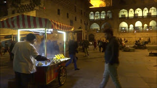 【土耳其旅游  Istanbul】トルコの焼き栗  The chestnut [upl. by Louie]