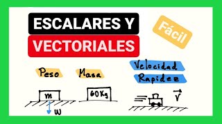 Magnitudes escalares y vectoriales [upl. by Forsta1]