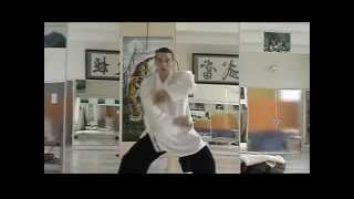 Wudang Dragongate Kungfu  Fali amp Fajin Practice  Ben Wang Chong Long 武当功夫发劲 [upl. by Bunker967]