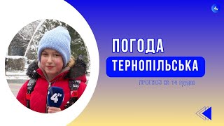 Тернопільська погода на 14 грудня 2024 року [upl. by Zehc368]