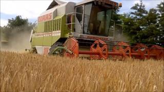 Jádi Zrt Claas Dominator 108 SL MAXI [upl. by Nitsed]